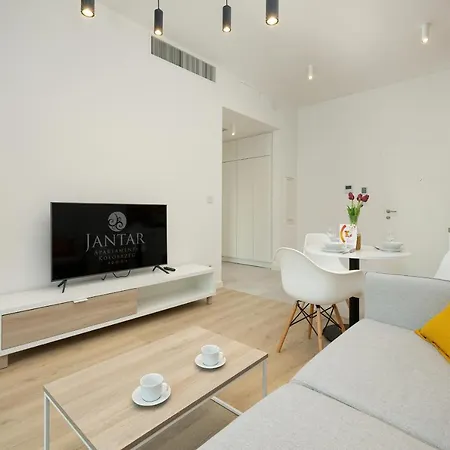 Shellter Apartments Villas - By Jantar Apartamenty Rogowo  Exterior photo