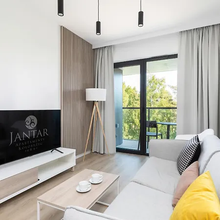 Shellter Apartments Villas - By Jantar Apartamenty Rogowo  Exterior photo