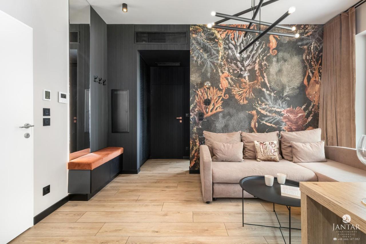 Shellter - By Jantar Apartment Rogowo (Gryfice)